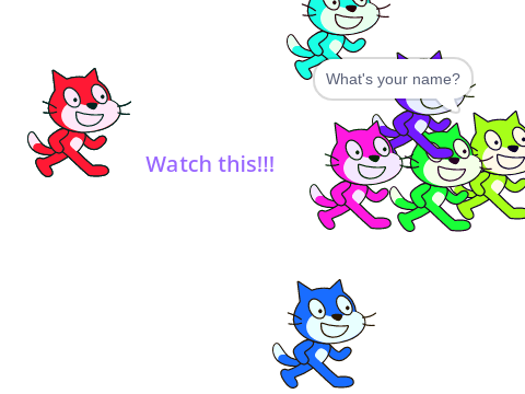 Weird Scratch Cats!