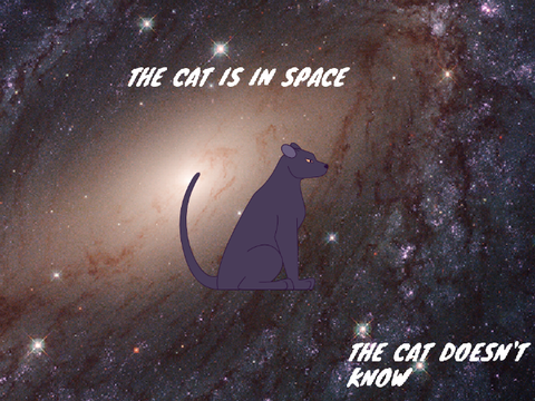 THE CAT IS IN SPACE