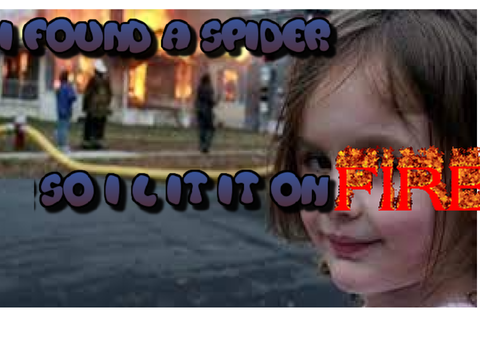 Meme 