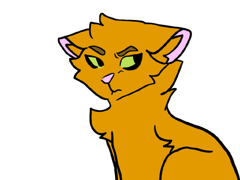 firealpaca to scratch animation test