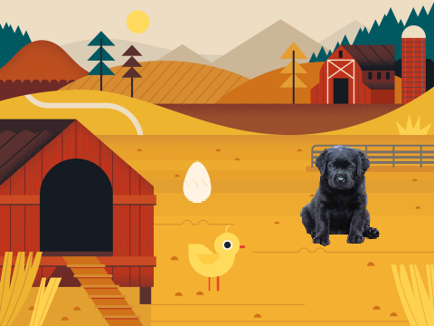 farm remix