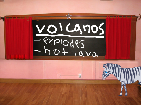 teacher zebra