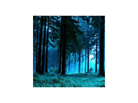 Chapter 2: Missing