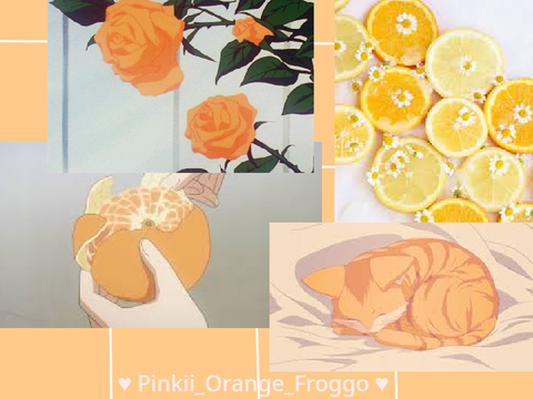 ʕ•́ᴥ•̀ʔ
