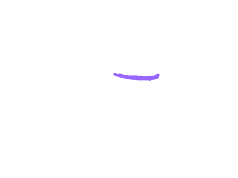 Blink animation test