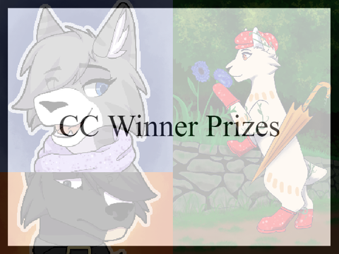 CC winners Prizes