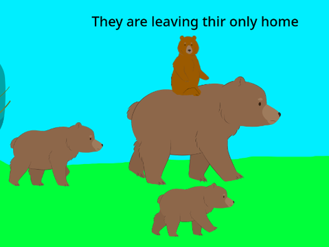 bear