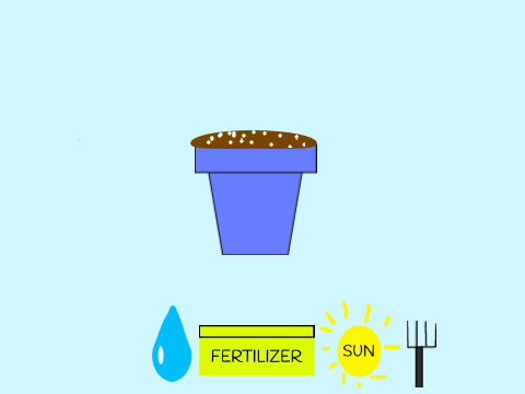 Grow Your Own Plant!