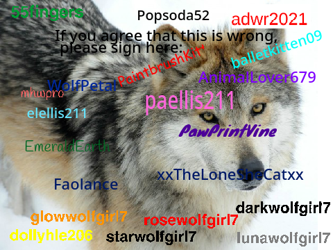 Sign To Stop Wolf Hunting :(  remix remix remix  remix remix remix remix remix remix remix remix