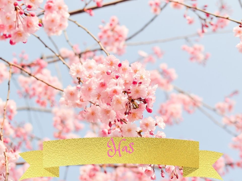 Has