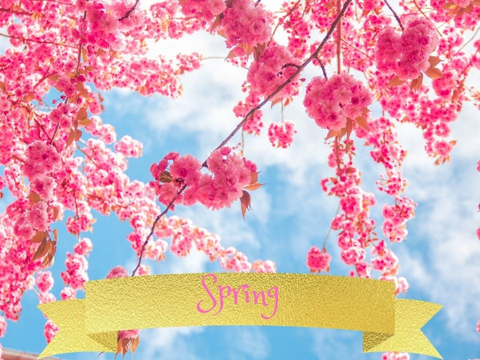 Spring