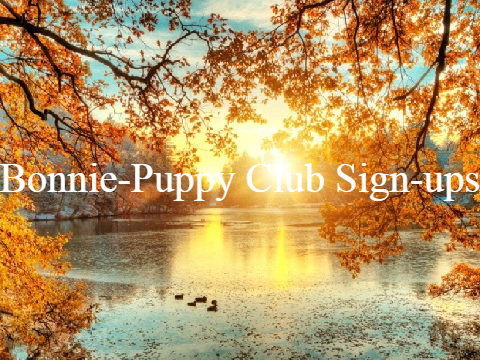 Bonnie - Puppy Club sign-ups