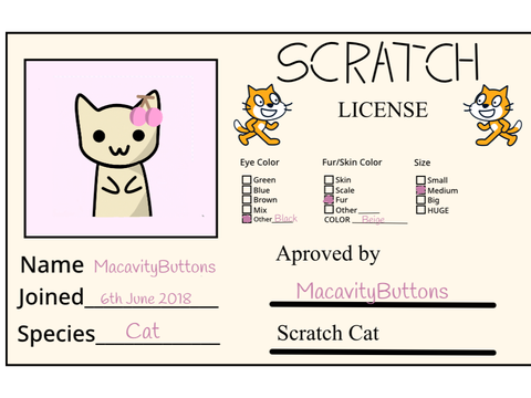 My Scratch License