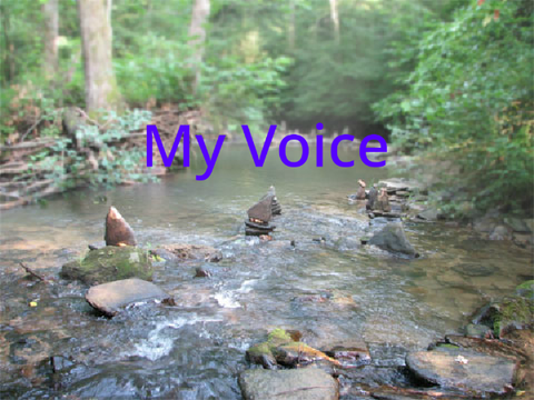 My Voice