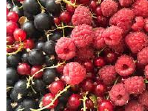 berry