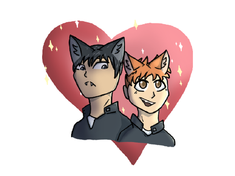 ✭ Hinata and Kageyama ✭ || Request ♡