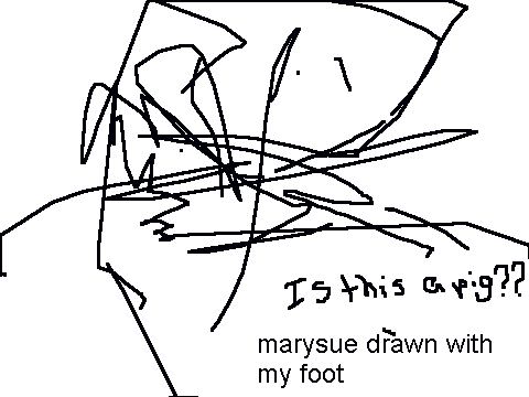 The drawing quiz :3
