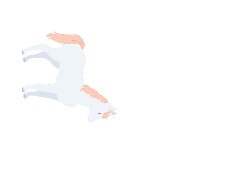 Exercise 8
