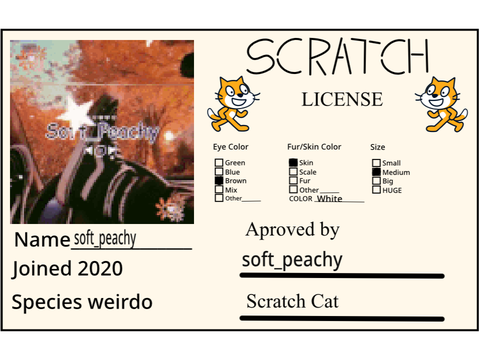 Make Your Own Scratch License remix