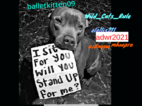 Remix and sign if you hate animal cruelty!! remix remix-2 remix remix