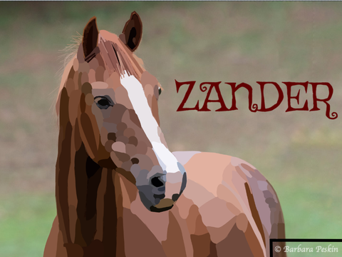 Blockshade Horse; Zander