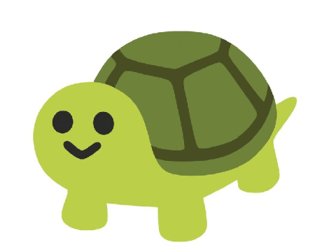 turtle