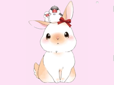 Bunny drawing 