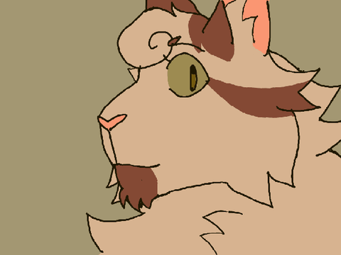 animation dump !