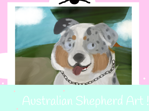 Australian Shepherd Art