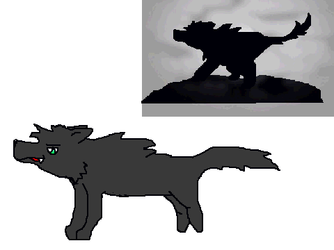 Fel run cycle