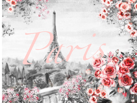 Paris~an art collab 
