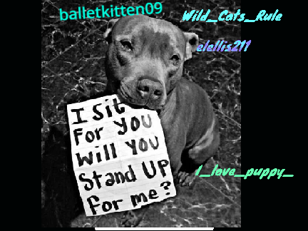 Remix and sign if you hate animal cruelty!! remix remix-2 remix