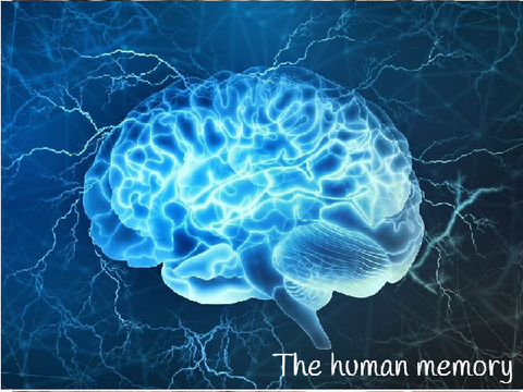 Human Memory
