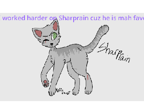 all of my rp cats