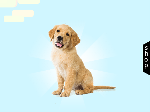 dog clicker WIP
