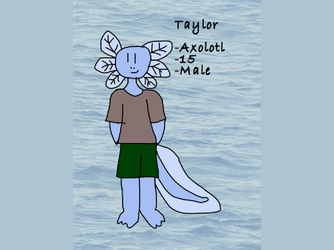 Taylor the Axolotl