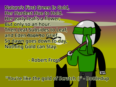 Farewell, || -TheGreenNinja- ||