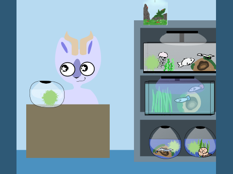 •º the fish tank º• a PoP shop