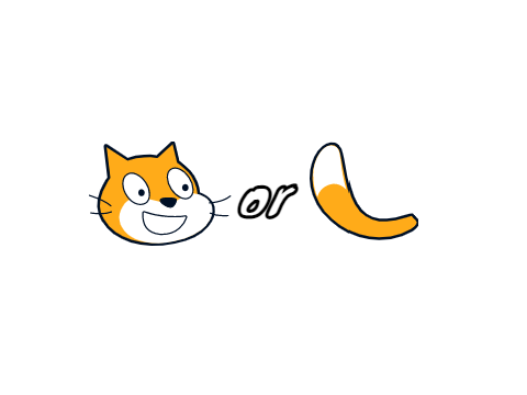 heads or tails