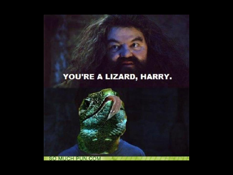  Harry Potter Memes (SPOILERS)