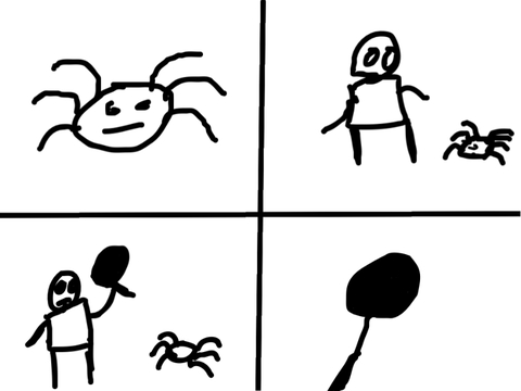 The spider 
