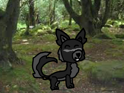 Papito cachorito meme 