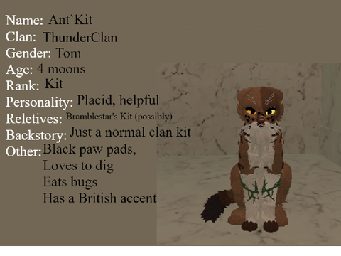 Ant`Kit
