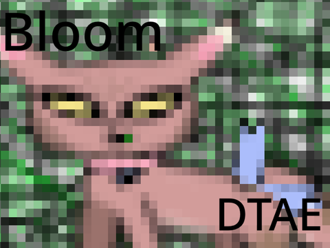 Bloom // DTAE