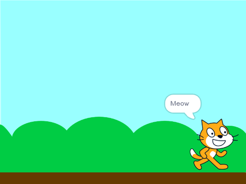 CAT RUNNING