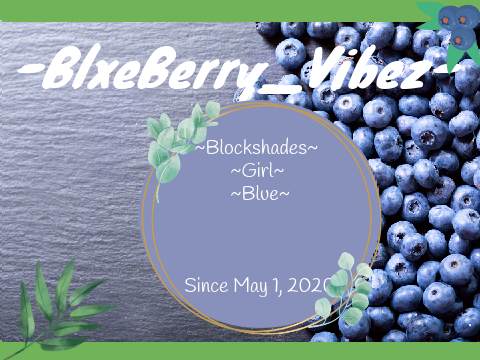 -BlxeBerry_Vibez- Banner Contest Entry