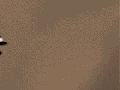 ♆