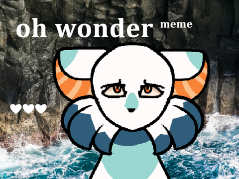 ✰ oh wonder -- dtae meme