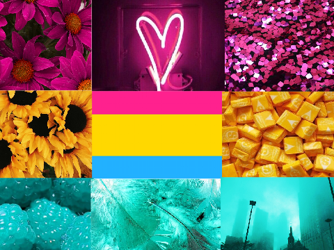 Pan Aesthetic