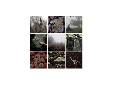 moodboards i got from google for thigns